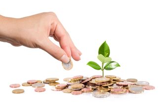 Euromünzen mit kleiner Pflanze (Foto: Romolo Tavani / fotolia.com) Euromünzen die um eine kleine grüne Pflanze liegen und eine Hand die eine Münze entnimmt.