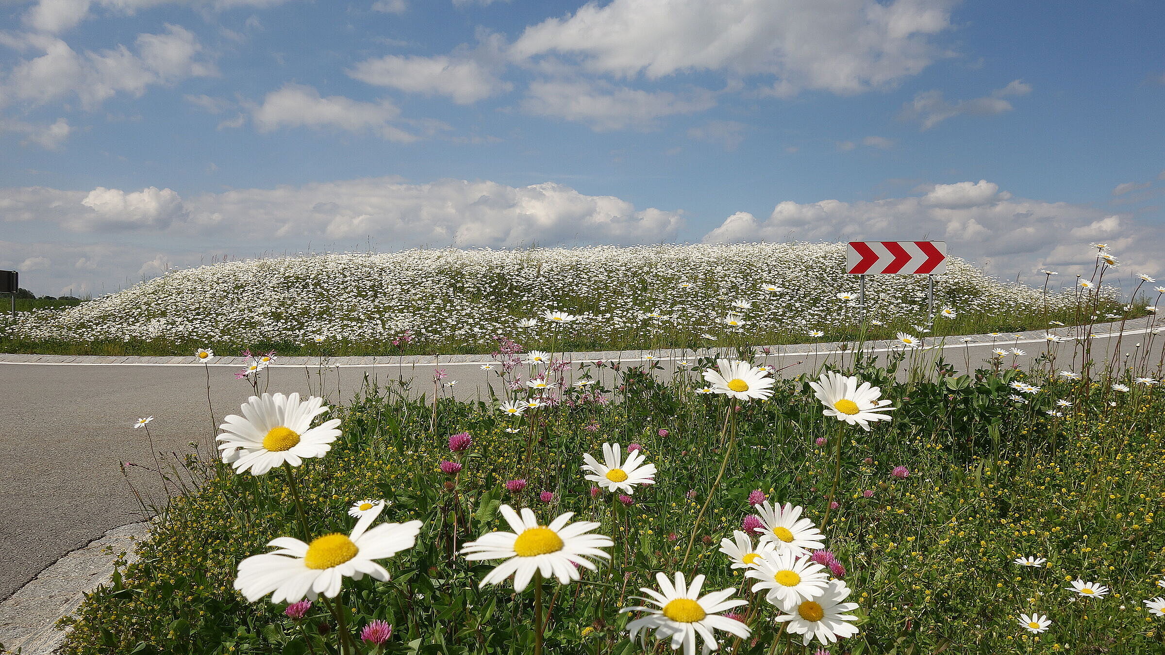 Ein begrünter Kreisverkehr: Der BN setzt sich für eine umweltschonende Verkehrswende ein, denn Verkehrspolitik ist Umweltpolitik. (Foto: Andreas Zahn)