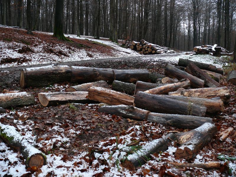 Bild: Michael Kunkel