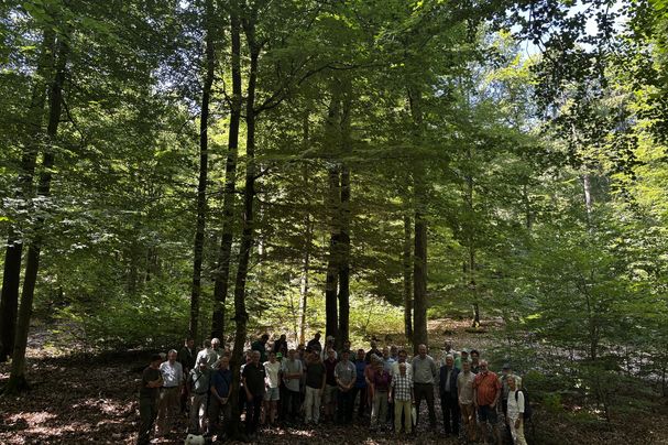 Naturgemäße Waldwirtschaft im Stadtwald Lohr - Exkursion anlässlich Jubiläum, Foto Dr. Janina Deutschmann