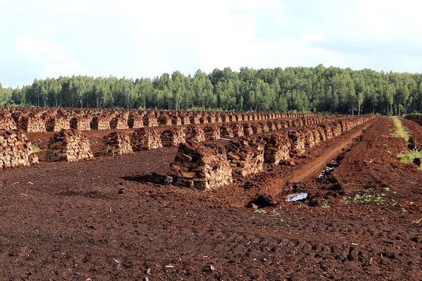 Torfabbau in Lettland Eine große schwarze Fläche inmitten eines Waldes, darauf gestapelte Moorstücke. Solche Moorzerstörung im großen Stil gibt es beispielsweise noch in Lettland. (Foto: fotolia.com/fotofox33)