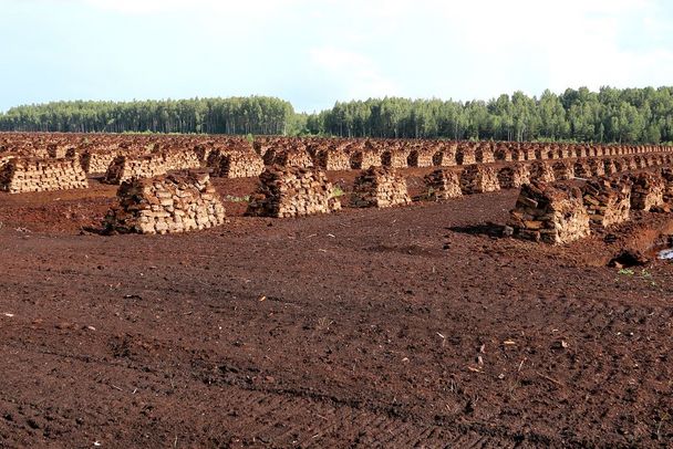 Eine große schwarze Fläche inmitten eines Waldes, darauf gestapelte Moorstücke. Solche Moorzerstörung im großen Stil gibt es beispielsweise noch in Lettland. (Foto: fotolia.com/fotofox33)
