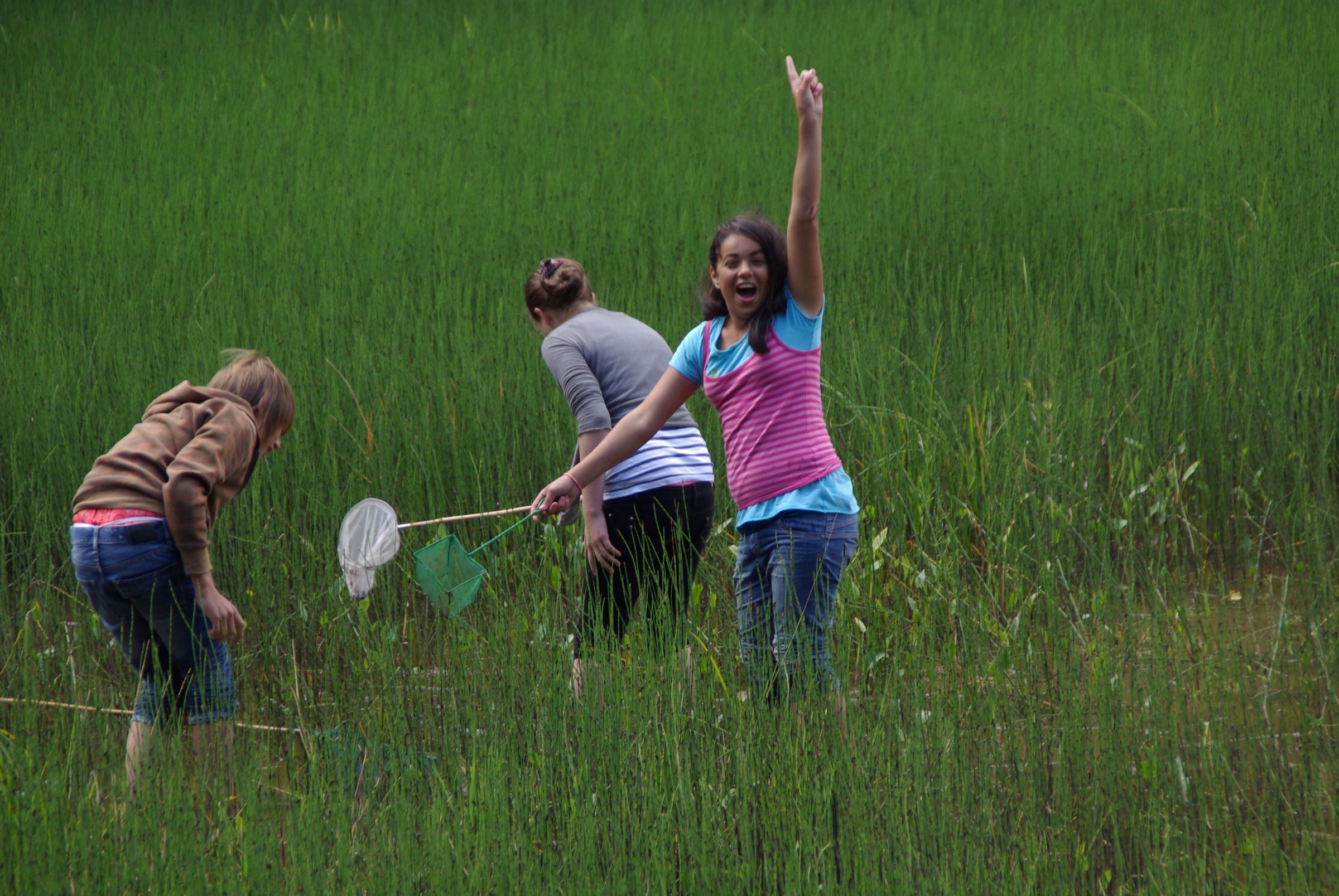 Drei Kinder mit Keschern suchen auf einer Wiese nach Insekten. Unter dem Motto: „Artenkenntnis erhalten – entdecke dein Naturtalent“ finden in ganz Bayern spezielle Veranstaltungen statt, die Kinder, Jugendliche und Erwachsene für den Naturschutz begeistern und die Artenkenntnis gezielt fördern. (Foto: Kreisgruppe Bad Kissingen) 