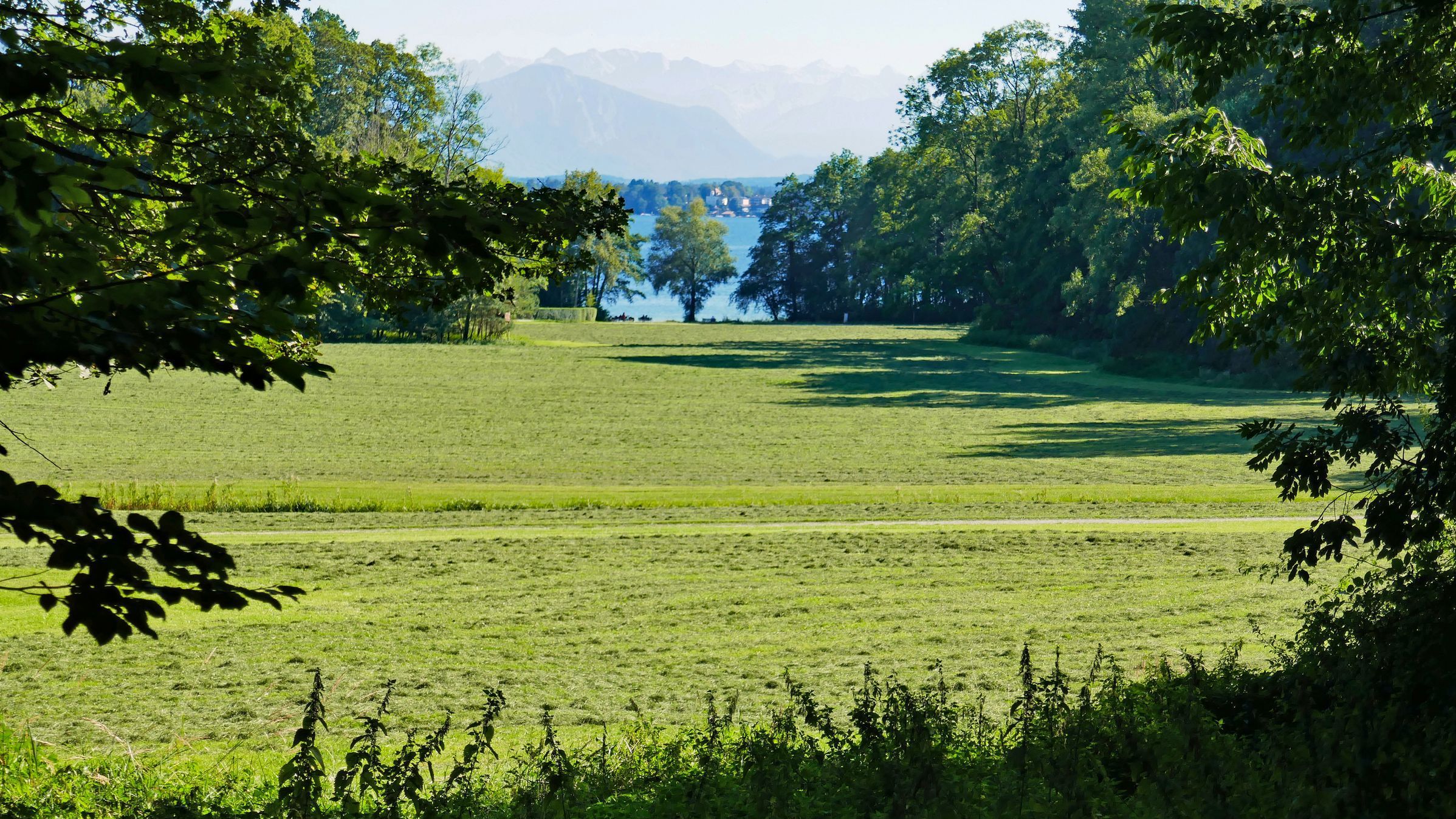 Bernrieder Park: Blick über eine Wiese auf Bäume am Ufer des Starnberger Sees, im Hintergrund die Alpen.