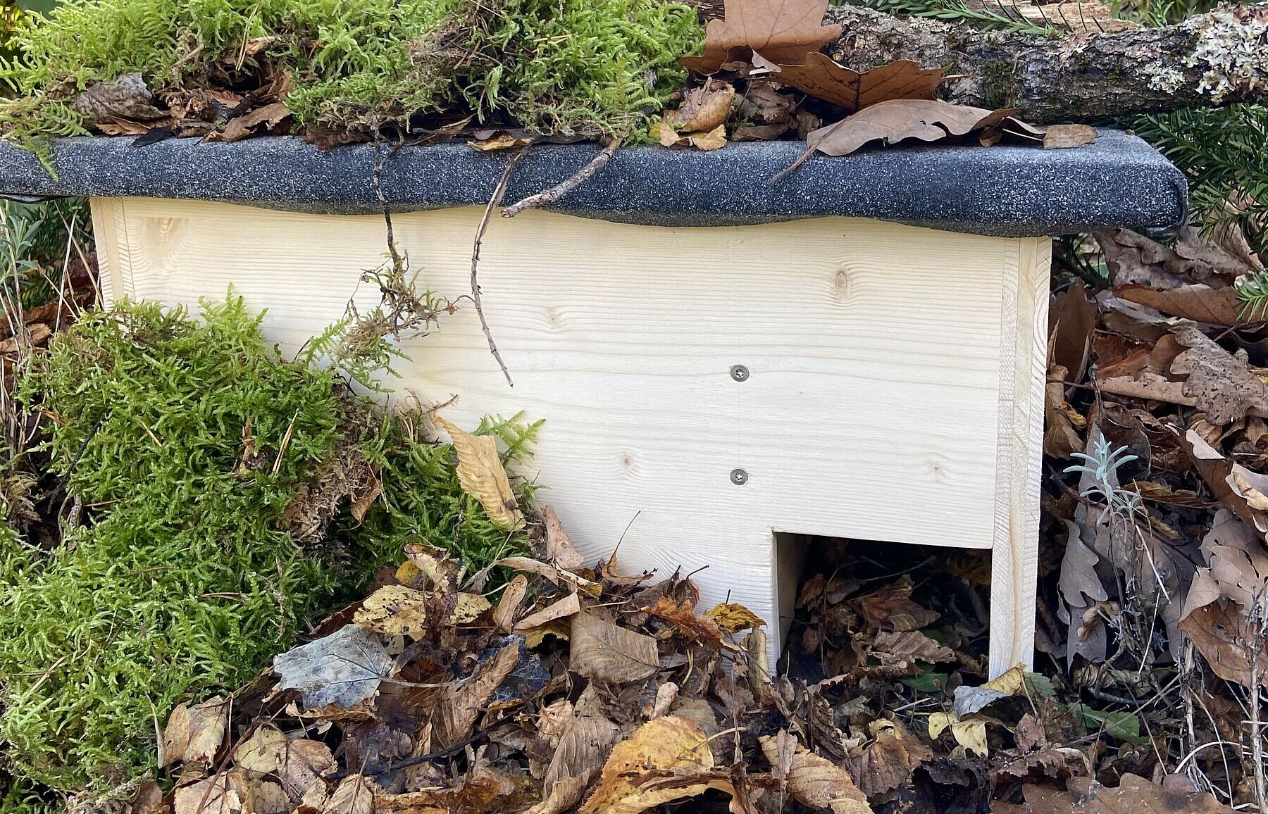 Igelhaus im Garten selbst bauen BUND Naturschutz (BN)