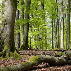 Naturschutzgebiet Metzger im Spessart; Foto: Michael Kunkel
