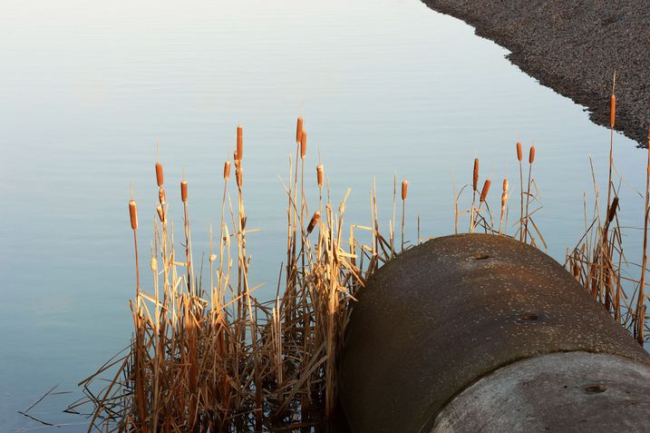 Das Abwasser-Abgabengesetz sorgte wieder für sauberere Flüsse (Foto: imfotograf/fotolia.com) Abwasserrohr an einem Fluss: Das Abwasser-Abgabengesetz sorgte wieder für sauberere Flüsse (Foto: imfotograf/fotolia.com)