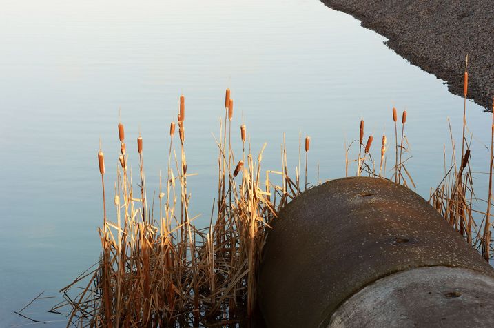Das Abwasser-Abgabengesetz sorgte wieder für sauberere Flüsse (Foto: imfotograf/fotolia.com) Abwasserrohr an einem Fluss: Das Abwasser-Abgabengesetz sorgte wieder für sauberere Flüsse (Foto: imfotograf/fotolia.com)