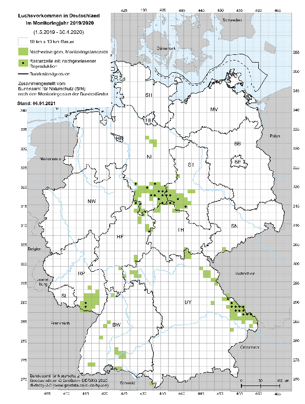 Verbreitung Luchs Deutschland: Die Karte zeigt die Luchsvorkommen in Deutschland, deutlich erkennbar der Schwerpunkt im Harz. (Grafik: Bundesamt für Naturschutz (BfN)).