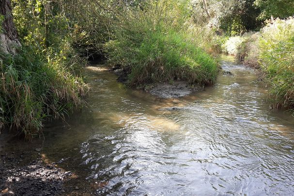 Naturnaher Bachabschnitt der Glött