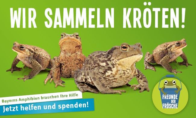 Amphibienrettung