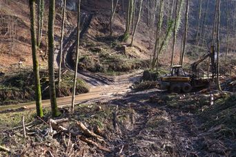 Foto: Helmut Hermann