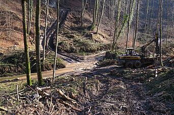Foto: Helmut Hermann
