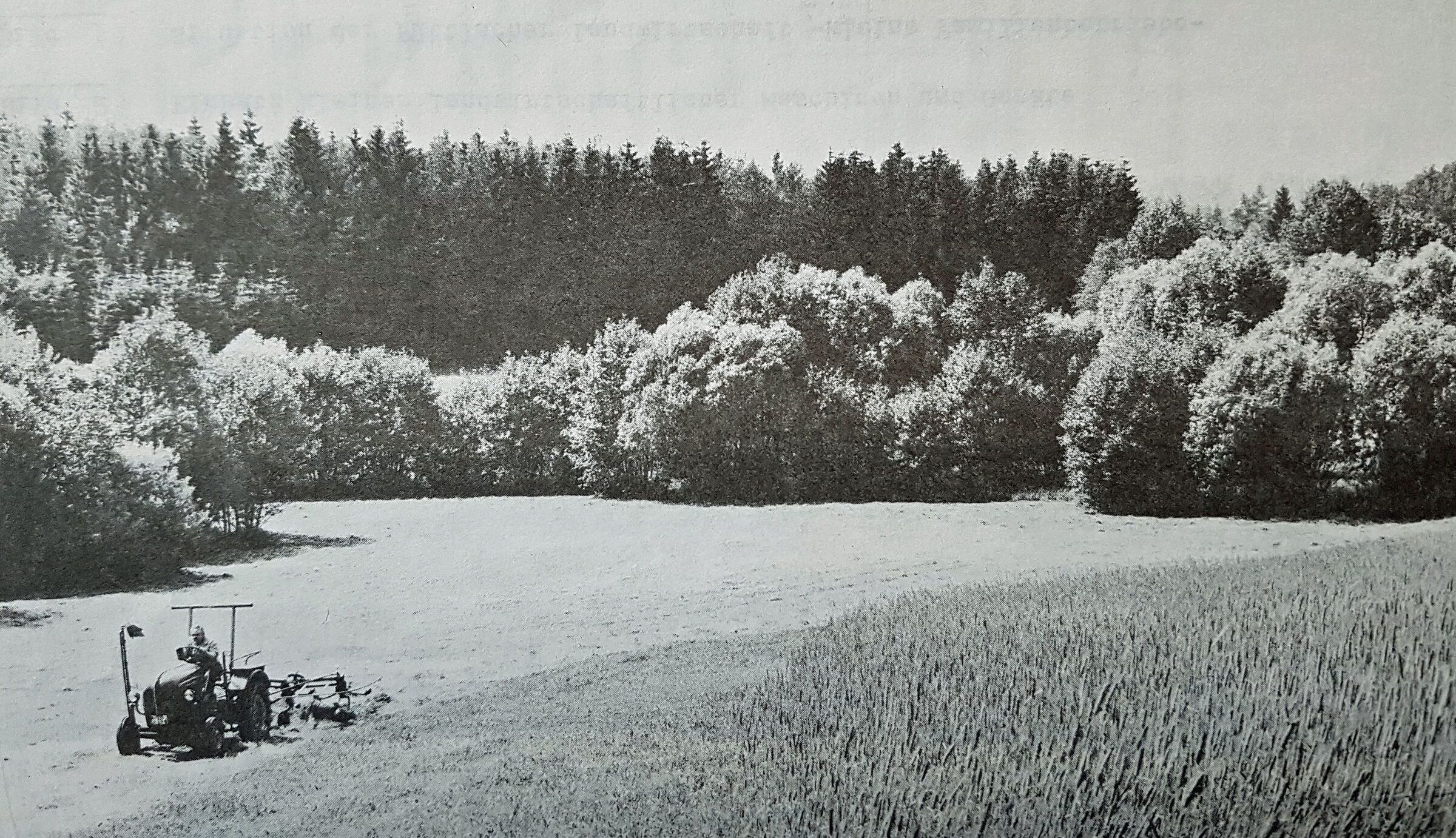 Heu-Ernte im Püttlachtal anno 1980 (Foto aus der Studienarbeit der TU Berlin von 1981).