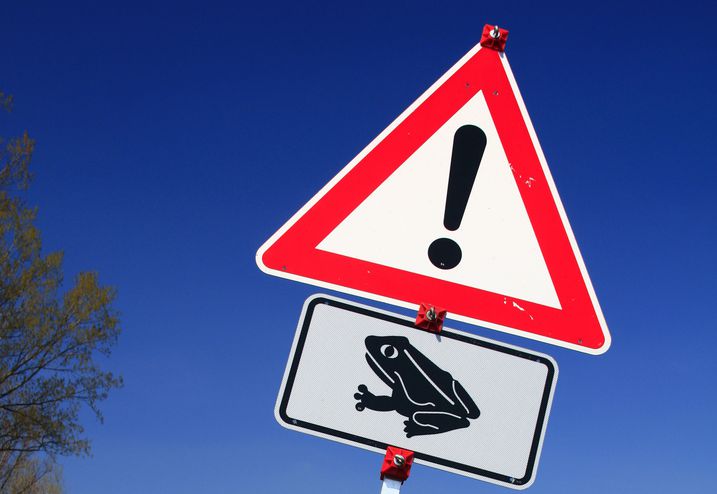 Das Schild Krötenwanderung warnt Autofahrer vor Amphibienwanderwegen.