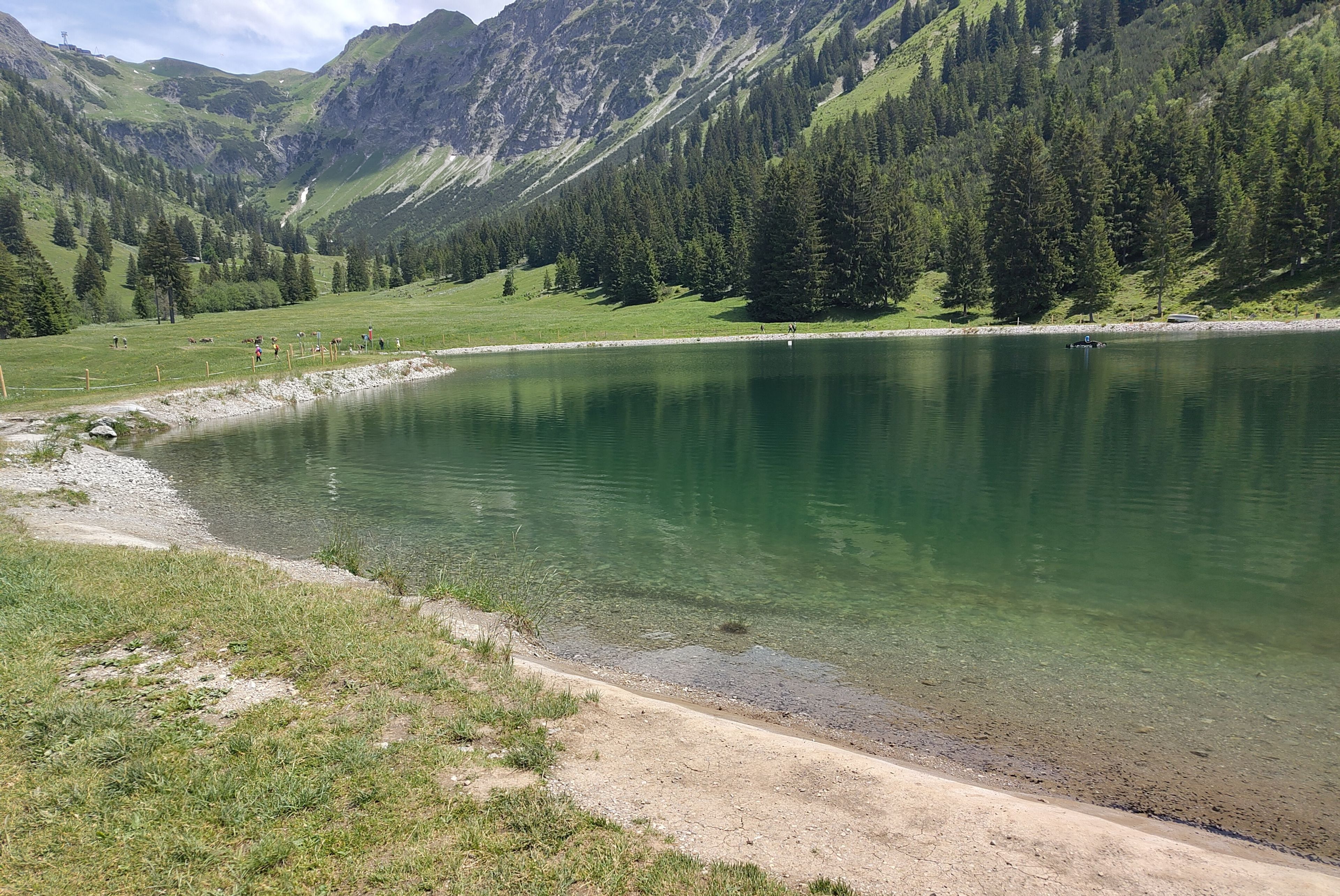 Speicherteiche werden von Amphibien in großer Zahl genutzt, hier: Erdkrötenkaulquappen (Bild: Katharina Mikschl) AmphiLink sucht Schutzmaßnahmen: Speicherteiche werden von Amphibien in großer Zahl genutzt, hier: Erdkrötenkaulquappen: Im Projekt Amphilink werden Wege gesucht, wie die Art bei der Nutzung der Teiche nicht gefährdet wird. (Bild: Katharina Mikschl)
