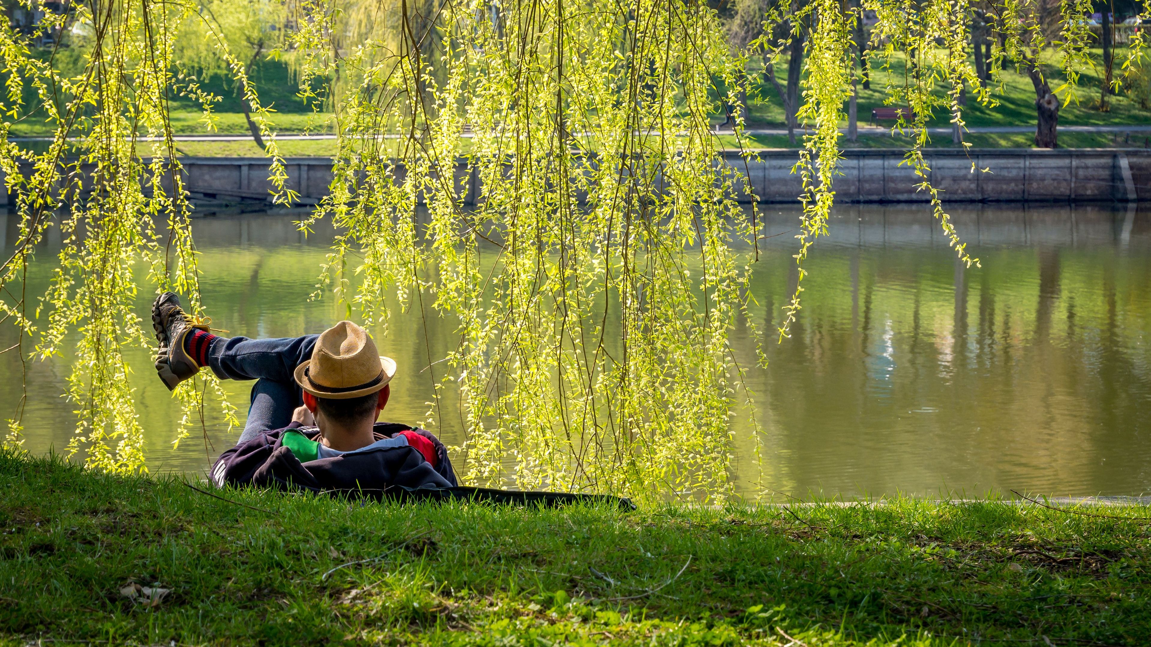 Wer im Grünen abschaltet, schafft Raum für neue Gedanken: Naturerleben fördert Kreativität und Denkvermögen (Foto: Cristi/stock.adobe.com). Stadtnatur und Gesundheit: Ein Mann liegt unter dem Baum einer städtischen Grünfläche und schaut auf das Wasser eines kleinen Flusses.