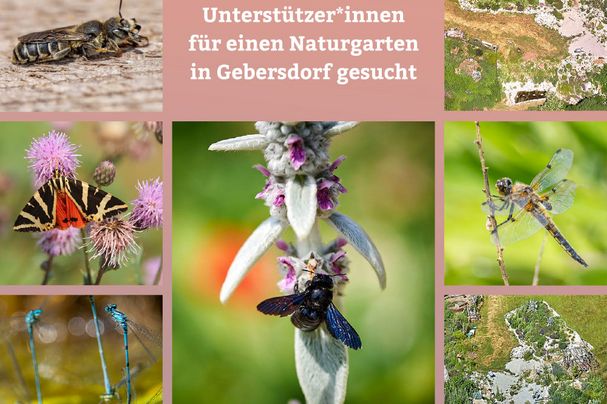 Flyer Naturgarten Gebersdorf Flyer Naturgarten Gebersdorf