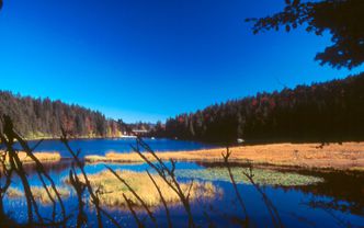 Großer Arbersee (Foto: Josef Grosser)