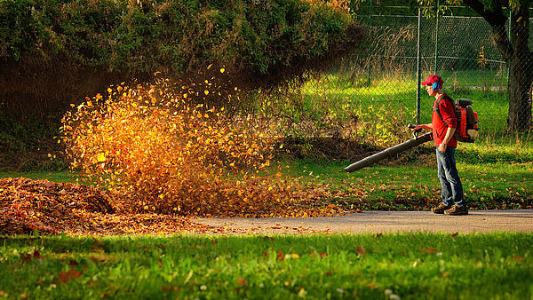 Laubsauger und Laubbläser schaden Mensch und Natur (Foto: Smileus/stock.adobe.com) Ein Mann bläst herbstlich gelb gefärbtes Laub mit einem Laubbläser vor sich auf einen Haufen.