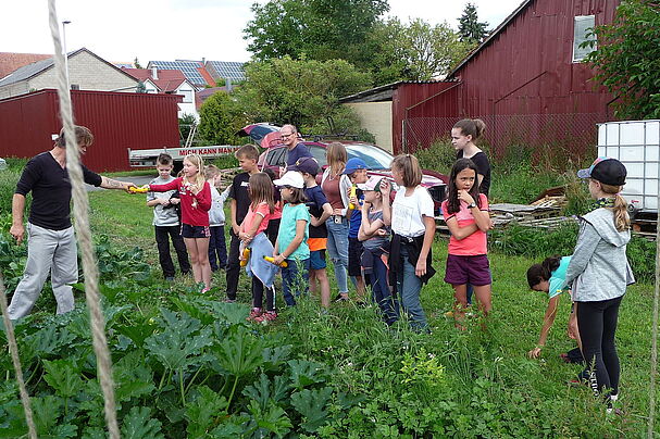 Mit der BN Ferienwoche zu Besuch auf den biologischen Anbauflächen von Thomas Garos (NaturPur) in Karbach, Foto: Erwin Scheiner