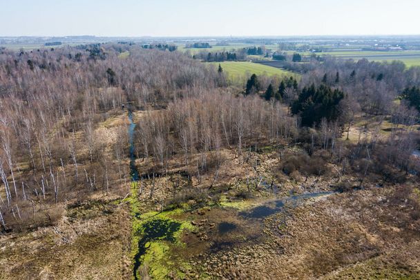 Blick auf das Fußbergmoos Richtung Osten mit lockerer Bewaldung und einem vernässten Bereich, der durch Biberstau entstanden ist. Das Fußbergmoos ist Teil des Niedermoorverbund-Projekts. (Foto: Heinz Gibowsky)