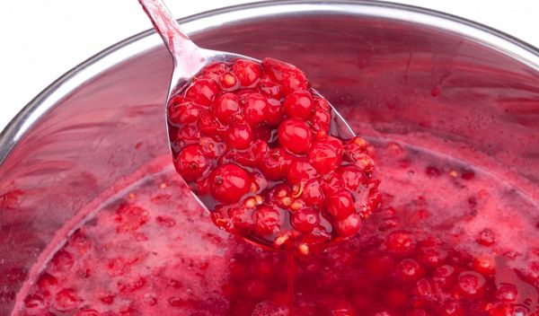 Lebensmittel konservieren: Marmelade einzukochen ist eine weit verbreitete Konservierungsmethode. (Foto: D.Ott/stock.adobe.com) Lebensmittel konservieren: In einem silbernen Topf werden Johannisbeeren eingekocht.