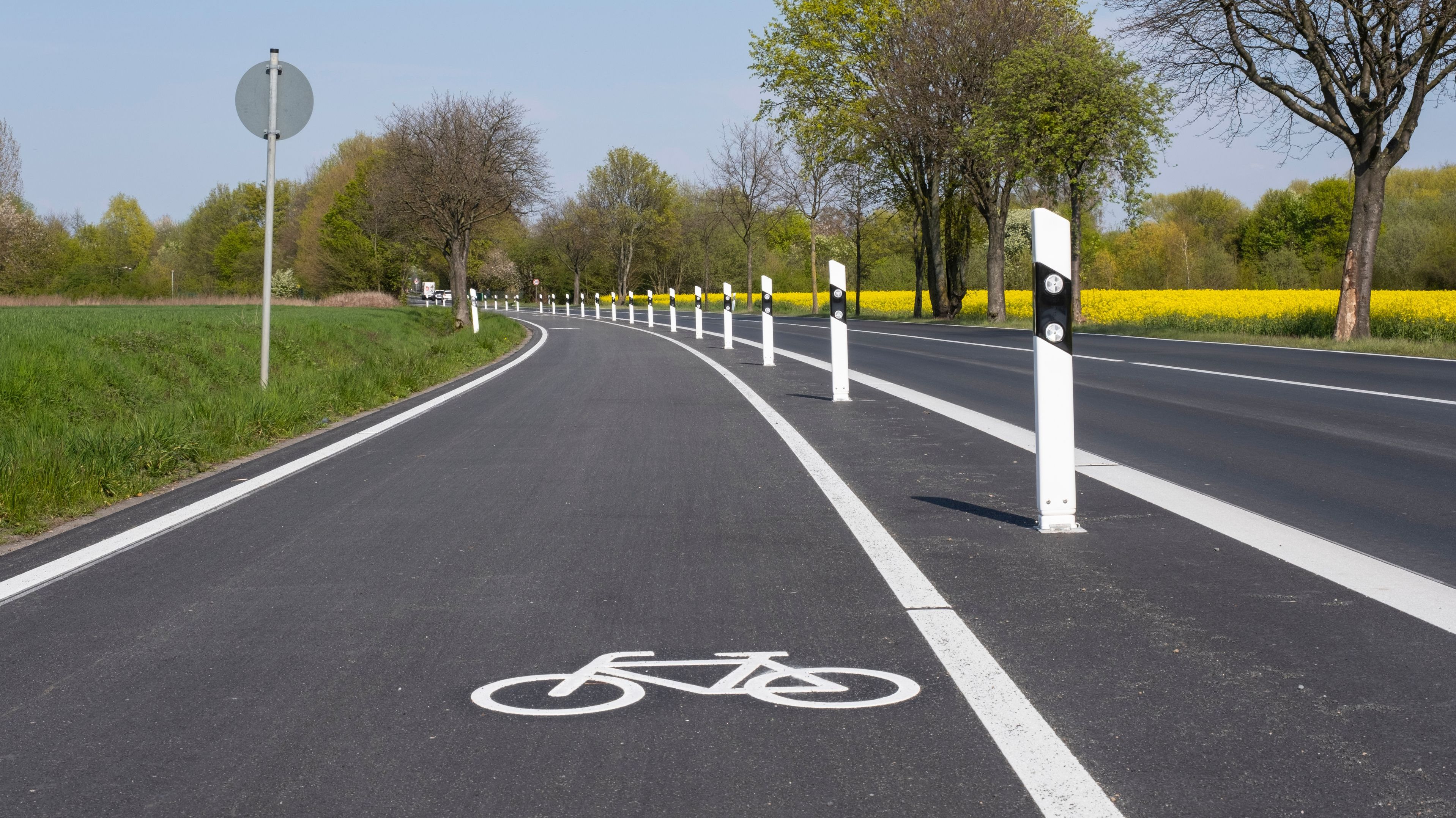 Physische Trennung statt nur Farblinie: Leitelemente wie hier erhöhen die gefühlte und reale Sicherheit für Radfahrende – gerade auf Strecken mit hohem Tempo und Verkehrsaufkommen. (Foto: Wilfried Wirth Westend61/stock.adobe.com) Radverkehr und Radwegebau: Durch Leitpfosten von der Landstraße getrennter Radweg