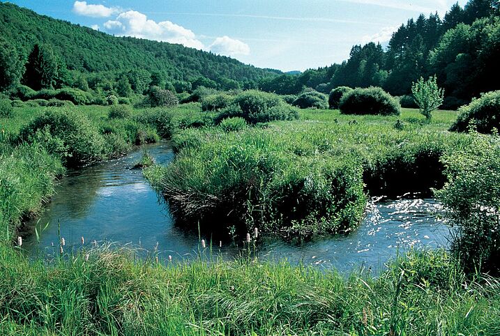 Hafenlohrtal (Foto: Grabe)