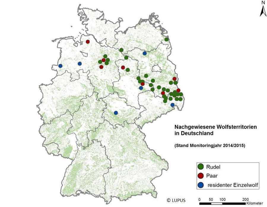 Wölfe in Deutschland - BUND Naturschutz