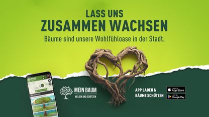 Bäume melden, entdecken und beschützen!
