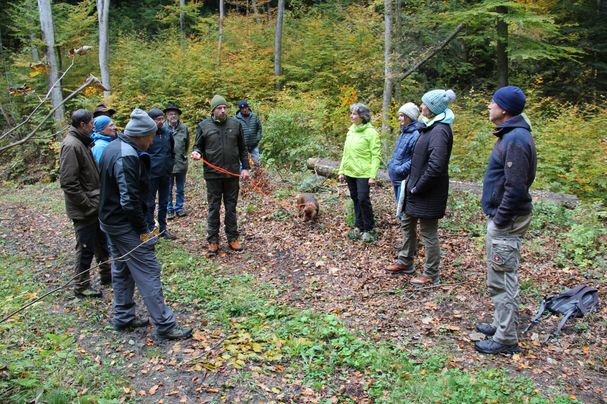 Teilnehmer*innen des Waldbegangs in Wonneberg 