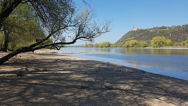 Die Donau bei Straubing mit dem Bogenberg im Hintergrund (Foto: Holger Lieber)