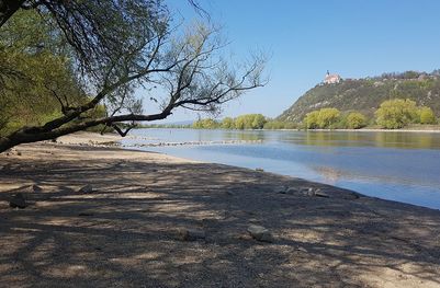Die Donau bei Straubing mit dem Bogenberg im Hintergrund (Foto: Holger Lieber)