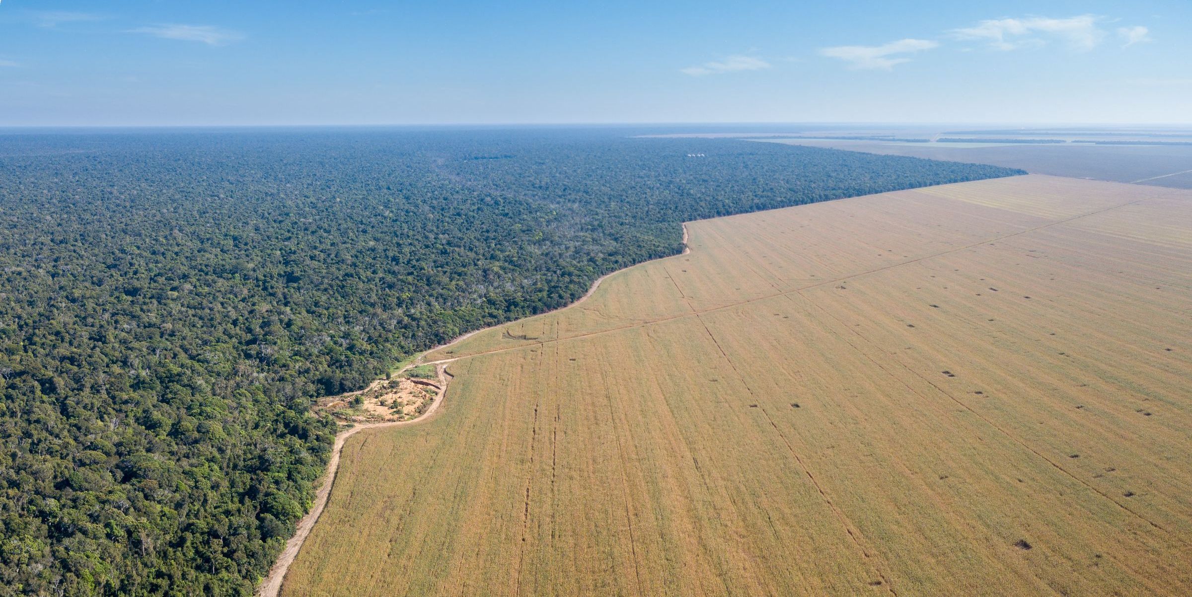 Riesige abgeholzte Soja-Anbauflächen grenzen an brasilianischen Regenwald. Die heutige Agrarpolitik fördert Soja-Importe
