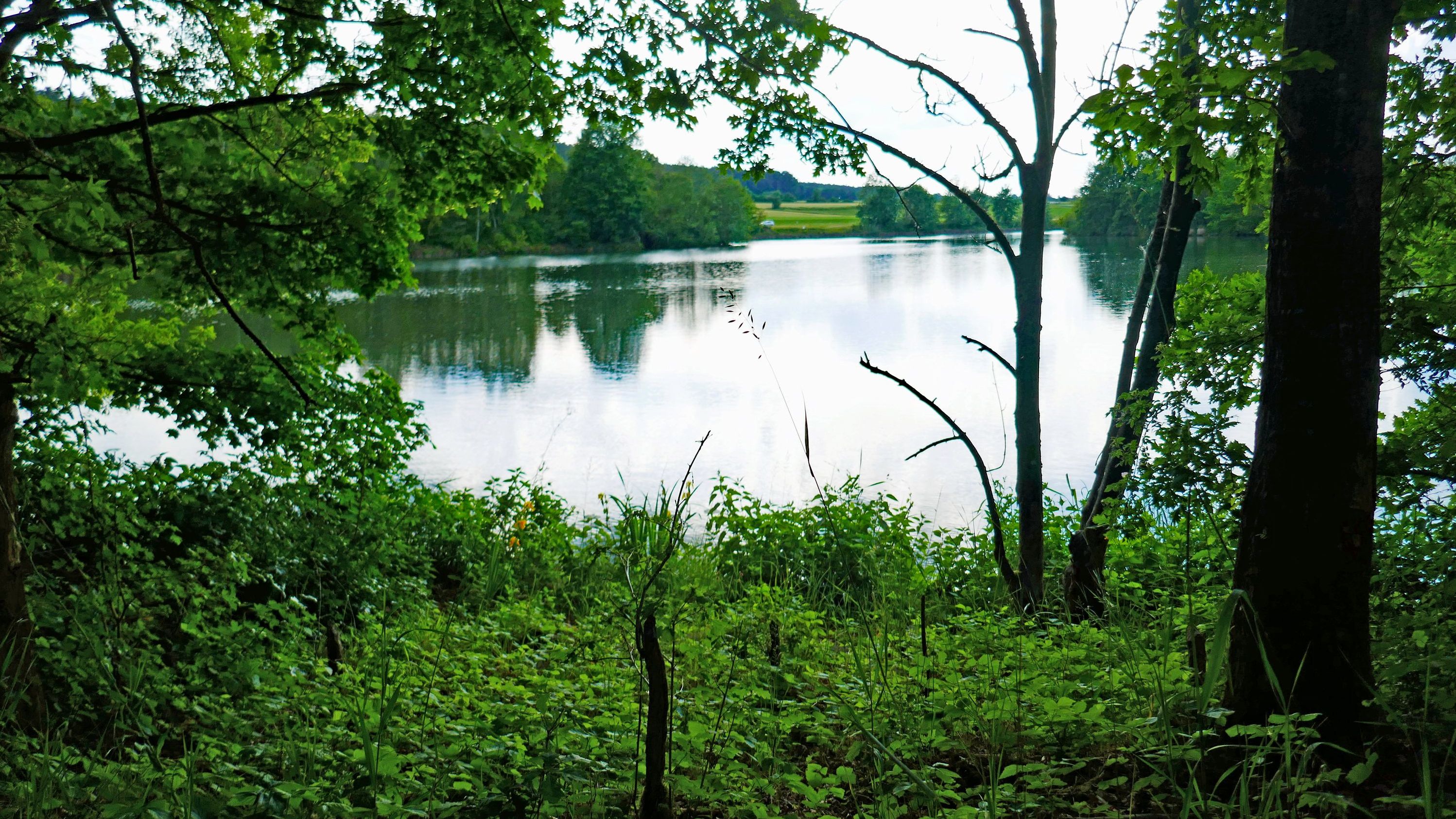 Wo einst wirtschaftliche Interessen die Büg bedrohten, prägen heute Gewässer, Wiesen und Gehölze die ruhige Landschaft. Die Geschichte der Büg zeigt, dass sich jahrzehntelanger Einsatz für die Natur lohnt. (Foto: Winfried Auenlandschaft Büg bei Eggolsheim: von Bäumen gesäumter Weiher, im Hintergrund eine Wiese