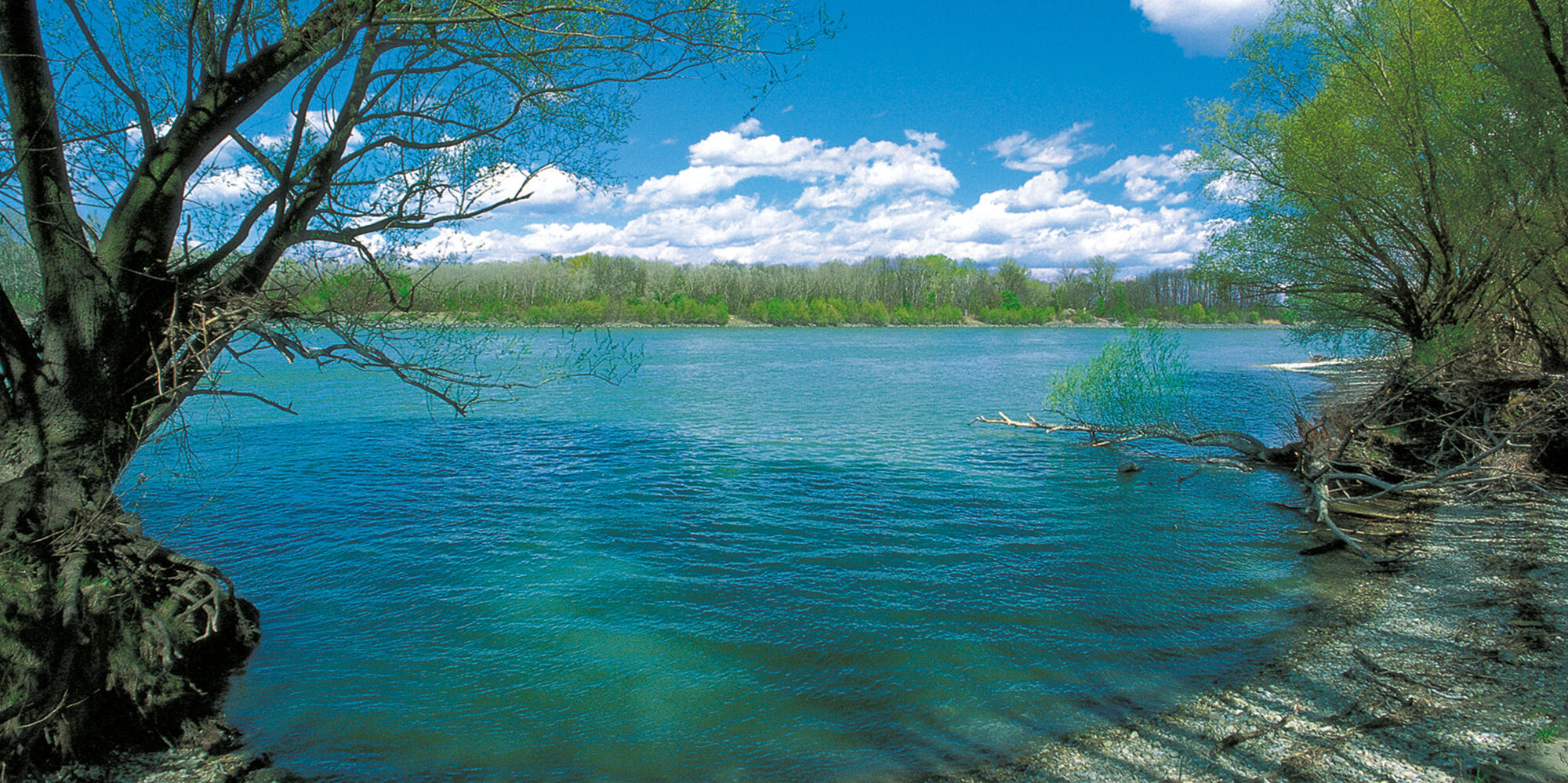 Donau (Foto: W. Gamerith)
