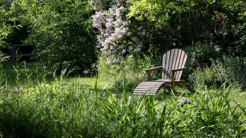 Naturnaher Garten mit Rückzugsmöglichkeiten (Foto: Christine Kuchem/Fotolia) Ein Liegestuhl steht auf einer ungemähten Rasenfläche, umgeben von zahlreichen Bäumen und Sträuchern. Schützen Sie Amphibien im Gartenteich und rund ums Haus! (Foto: Christine Kuchem/Fotolia)