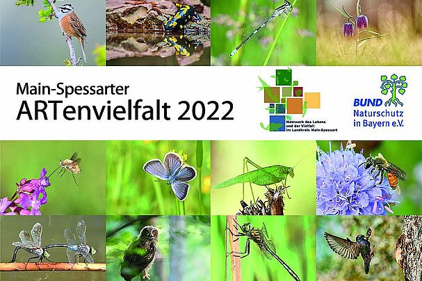 Kalender 2022 MainSpessarter ARTenvielfalt