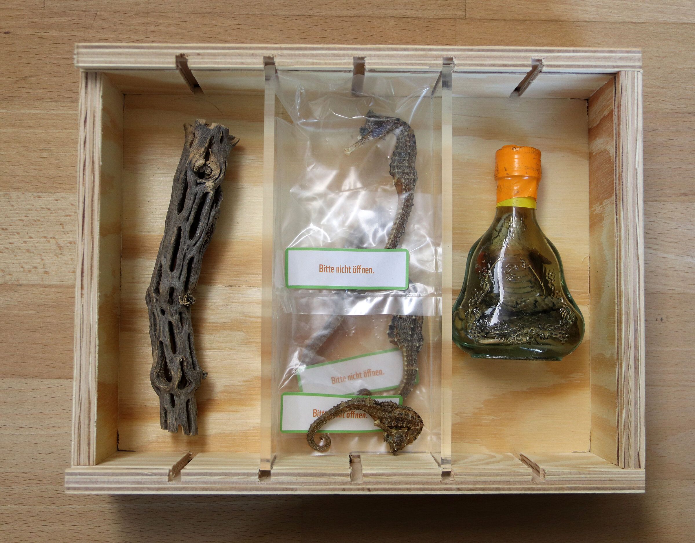 Kaktusholz, Seepferdchen, eingelegte Schlange (Foto: Sonja Kreil)