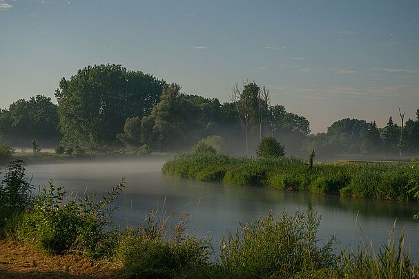 Amper-Auen (Foto: Wolfgang Willner)