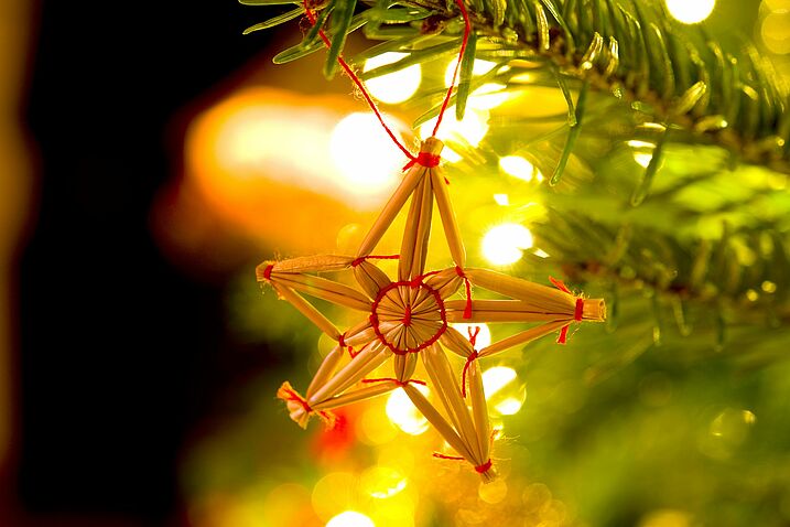 Foto: VRD/AdobeStock