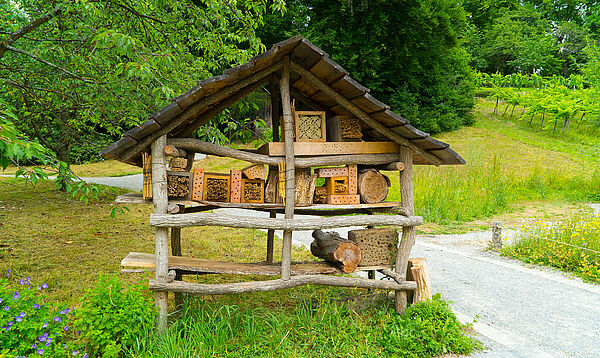Vorsicht beim Kauf von fertigen Insektenhotels: Oft schaden die darin enthaltenen Nisthilfen mehr als sie nützen. (Foto: RECARTFRAME-CH/stock.adobe.com)