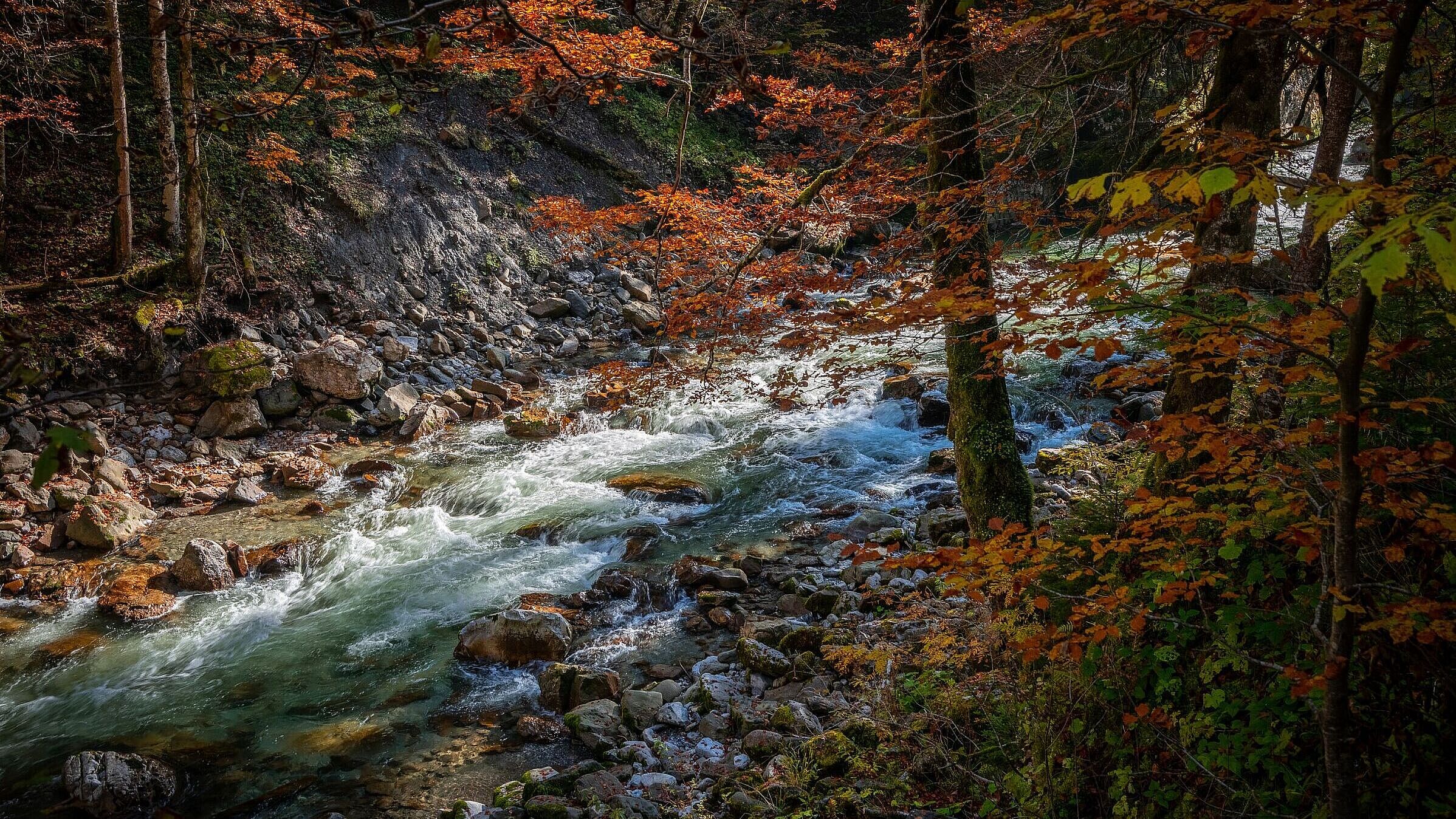 Breitachklamm in Oberstdorf (Foto: Michael/stock.adobe.com) Breitachklamm in Oberstdorf im Herbst