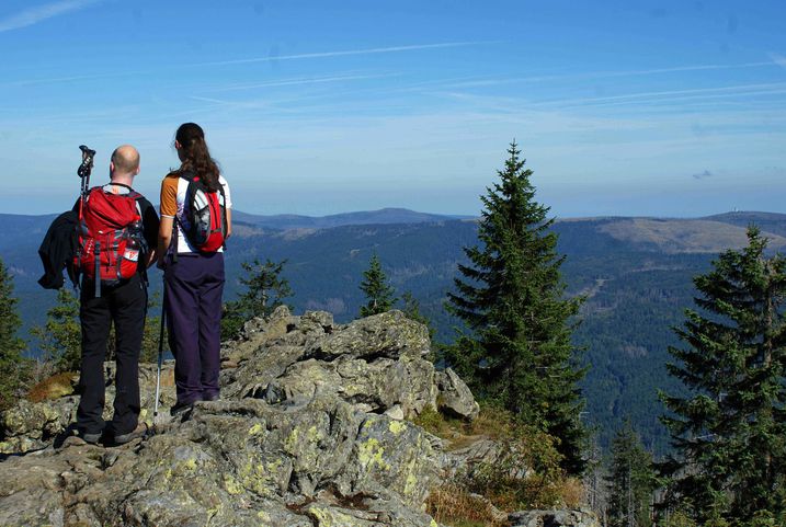 Über 300 Kilometer Wanderwege erschließen den Nationalpark (Foto: Alice Alteneder/Nationalparkverwaltung Bayerischer Wald)