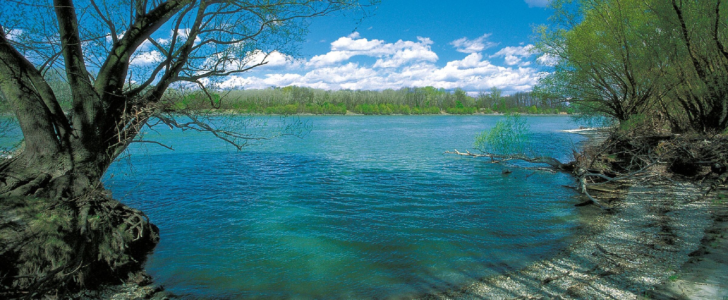 Ein Kiesstrand an einem türkisen Fluss mit von Bäumen bewachsenen Ufern – hier darf die Donau noch frei fließen. (Foto: Werner Gamerith)