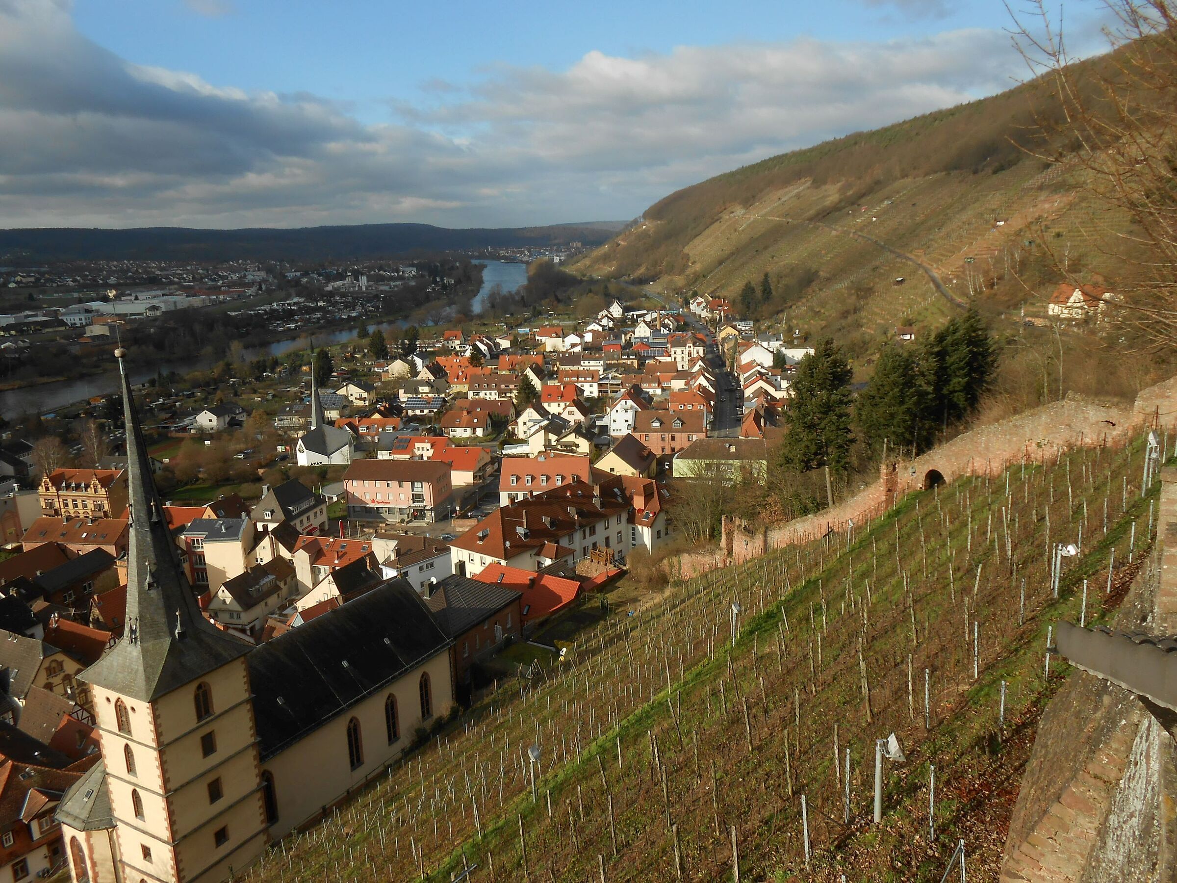 Blick über Weinberge ins Maintal bei Klingenberg: Eine Biosphärenregion Spessart unterstützt die Vermarktung regionaler Produkte. (Foto: Dr. Ruth Radl)