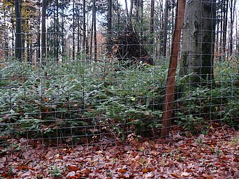 Foto: Michael Kunkel
