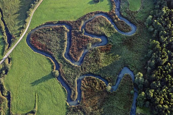 Luftaufnahme der mäandernden Abens bei Siegenburg: Ein Wassercent könnte Renaturierungsmaßnahmen finanzieren (Bild: Klaus Leidorf)