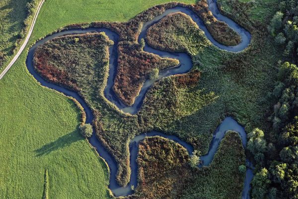 Luftaufnahme der mäandernden Abens bei Siegenburg: Ein Wassercent könnte Renaturierungsmaßnahmen finanzieren (Bild: Klaus Leidorf)